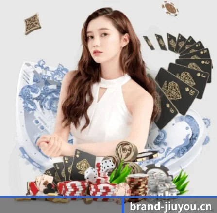 快速发展 - 业务规模迅速扩张,合作伙伴遍布全球,用户数量突破500万大关。